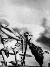 Haga click para ver la imagen ampliada cannibalism of the praying mantis of lautreamont 1934.jpg
